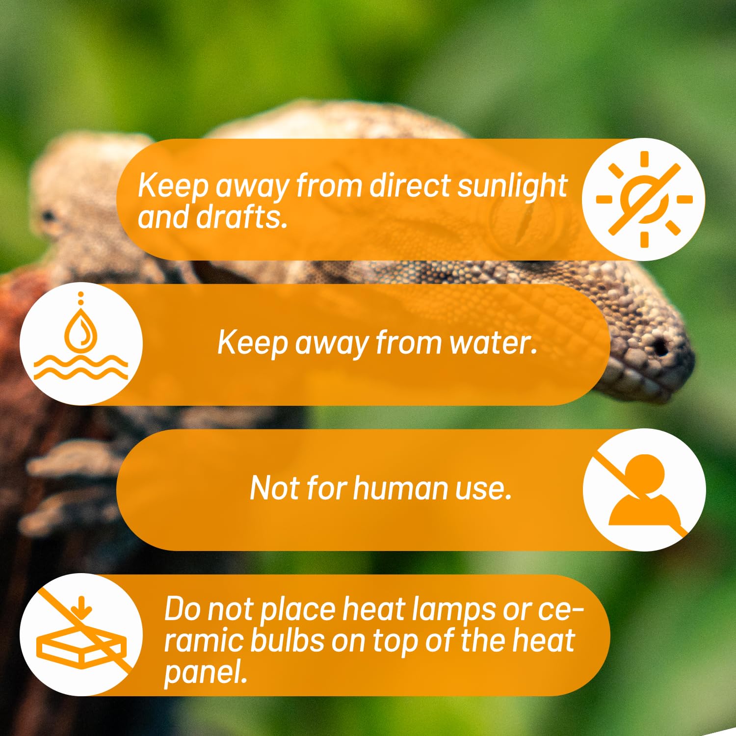 REPTI ZOO safe under-lid heating supports nocturnal activity.