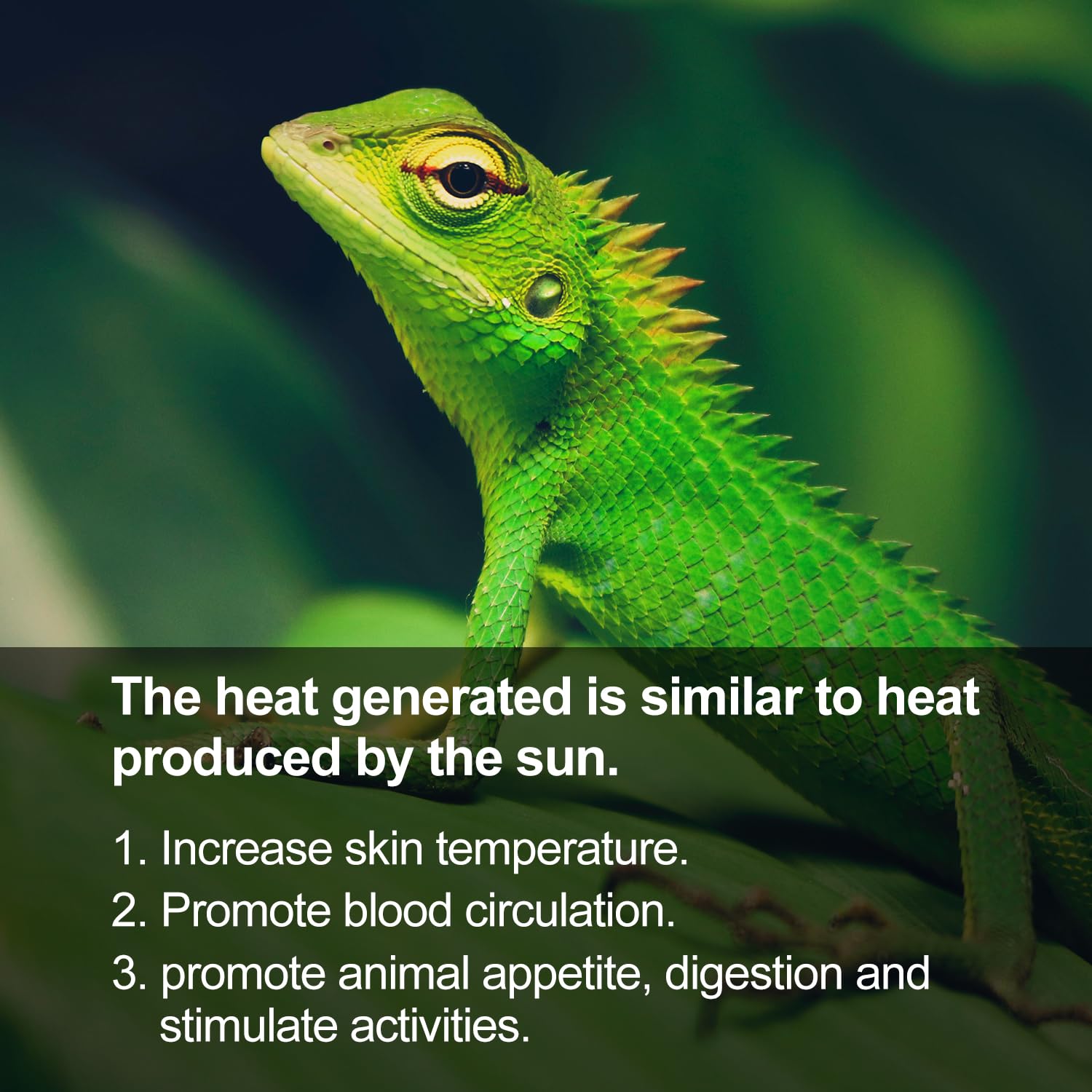 REPTI ZOO self-ballast design simplifies setup in reptile habitats