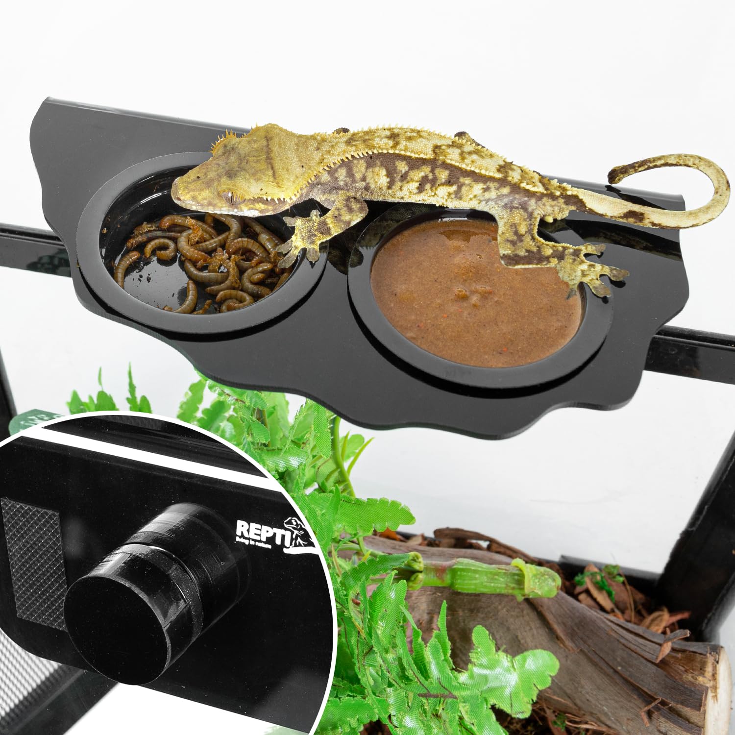 REPTI ZOO Six cups included for varied meals