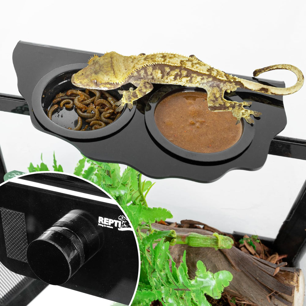 REPTI ZOO Six cups included for varied meals