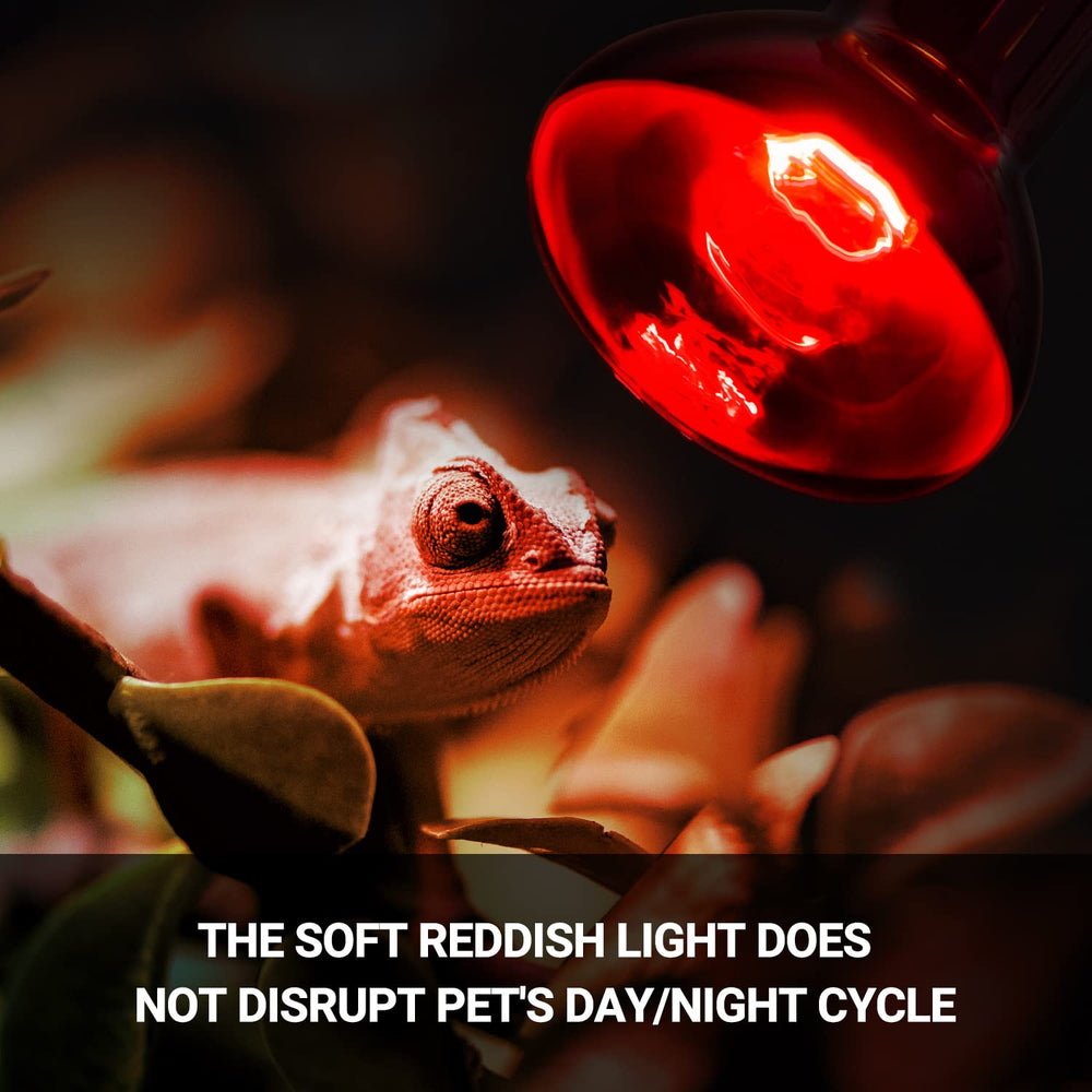 REPTI ZOO soft-light daytime bulb delivers reptile-friendly illumination.