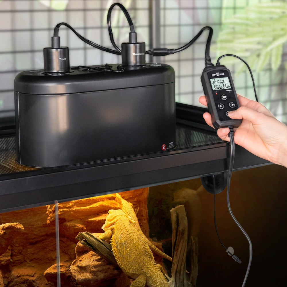 Integrated design reduces clutter while keeping heat and light control accessible