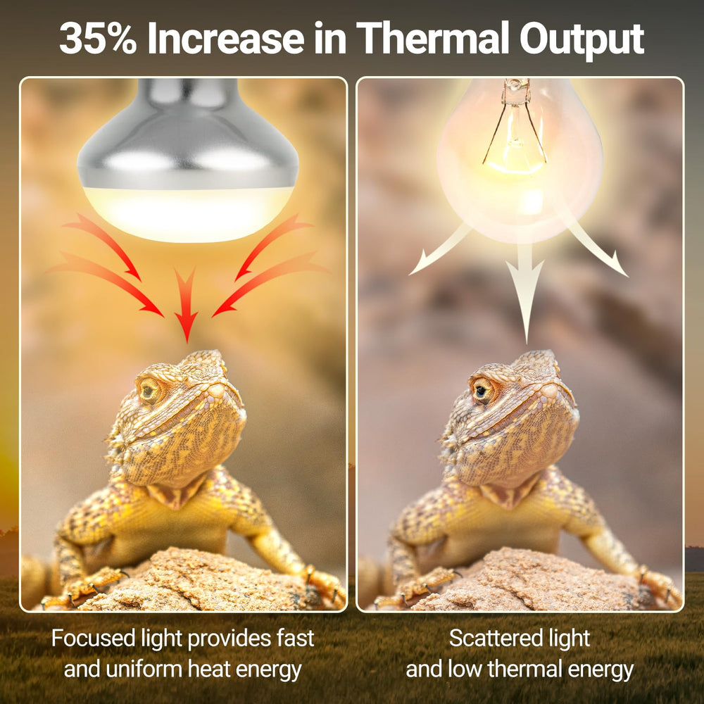 REPTI ZOO 50W bulb enhances heat coverage for consistent basking.