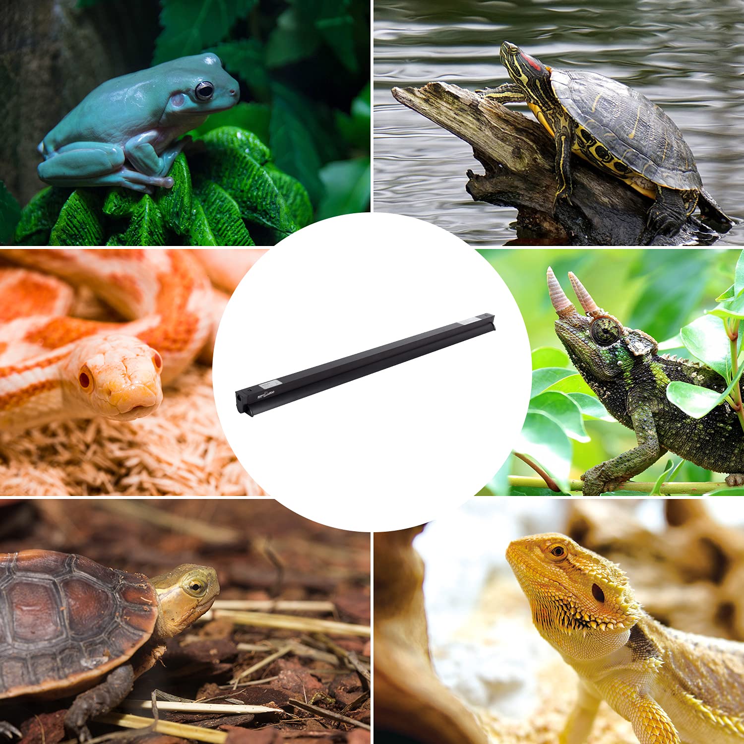 REPTI ZOO UVB T5 lamp installed over terrarium for reliable daily use