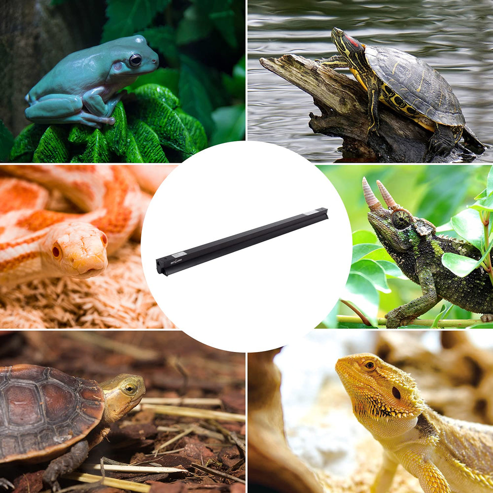REPTI ZOO UVB T5 lamp installed over terrarium for reliable daily use