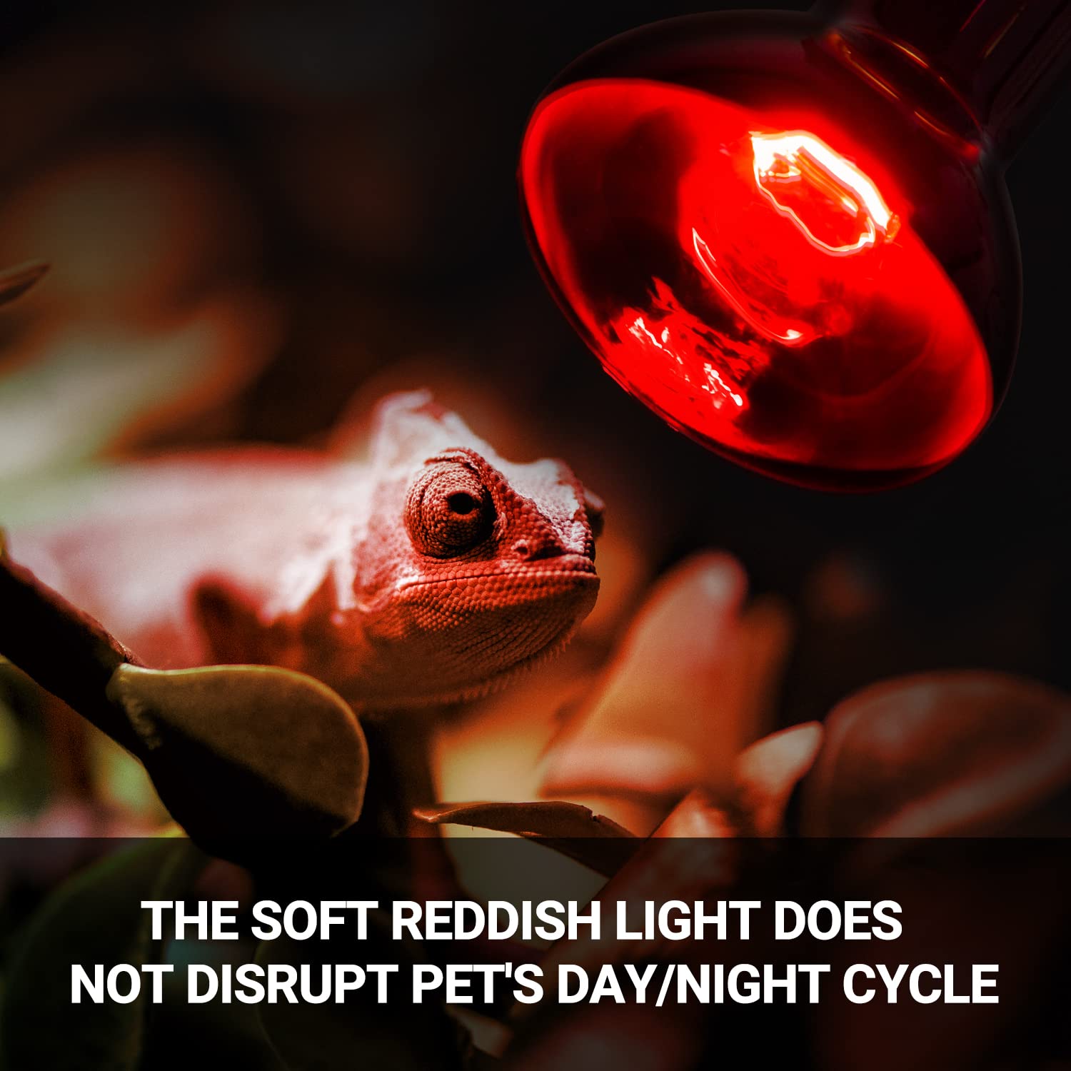 REPTI ZOO terrarium-heat-source provides reliable warmth for reptile terrariums.