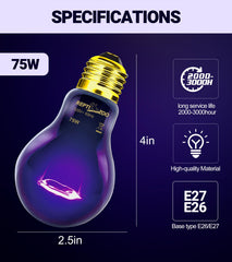 Terrarium temperature boost at night with REPTI ZOO lamp