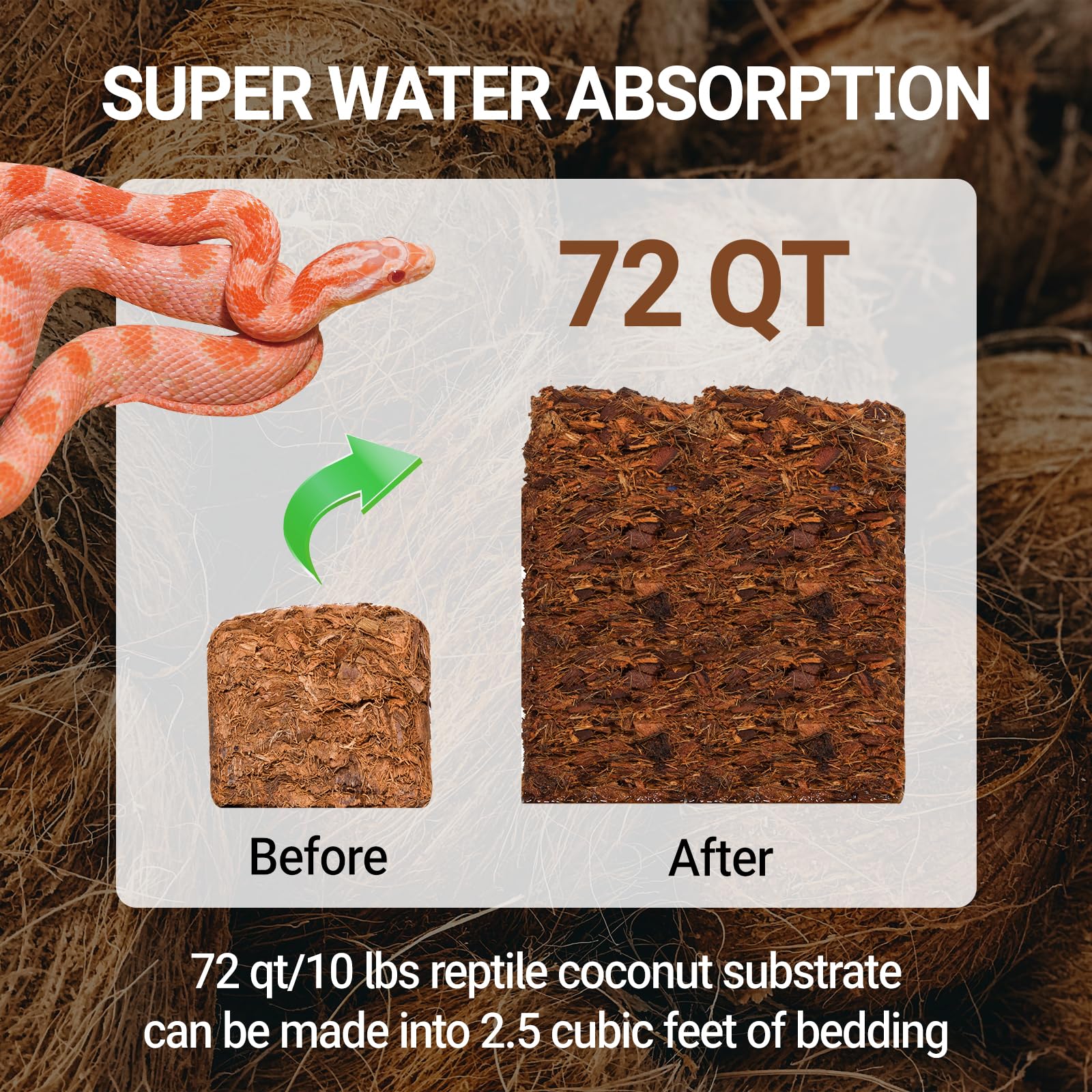 REPTI ZOO substrate creates tropical humidity for thriving reptiles.