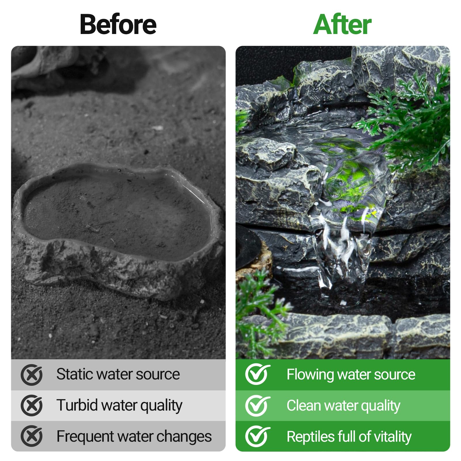 REPTI ZOO two-basin design enables separate drinking and feeding tasks.