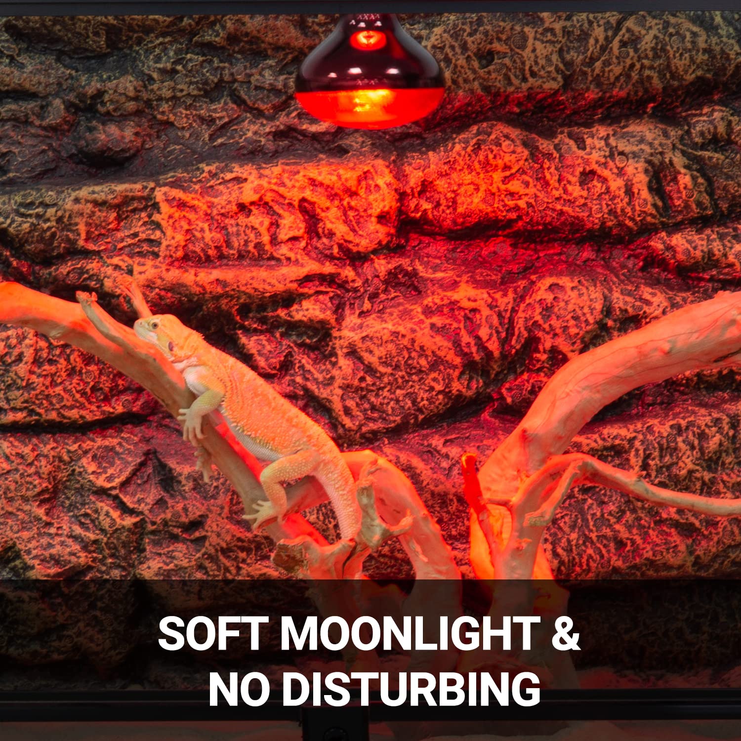 REPTI ZOO two-pack lamps ensure ready replacements when needed.