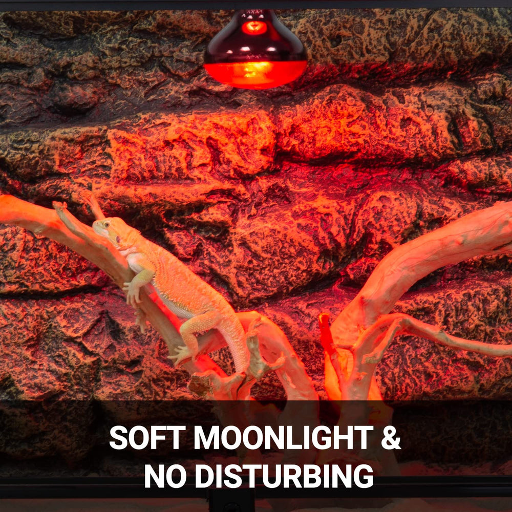REPTI ZOO two-pack lamps ensure ready replacements when needed.