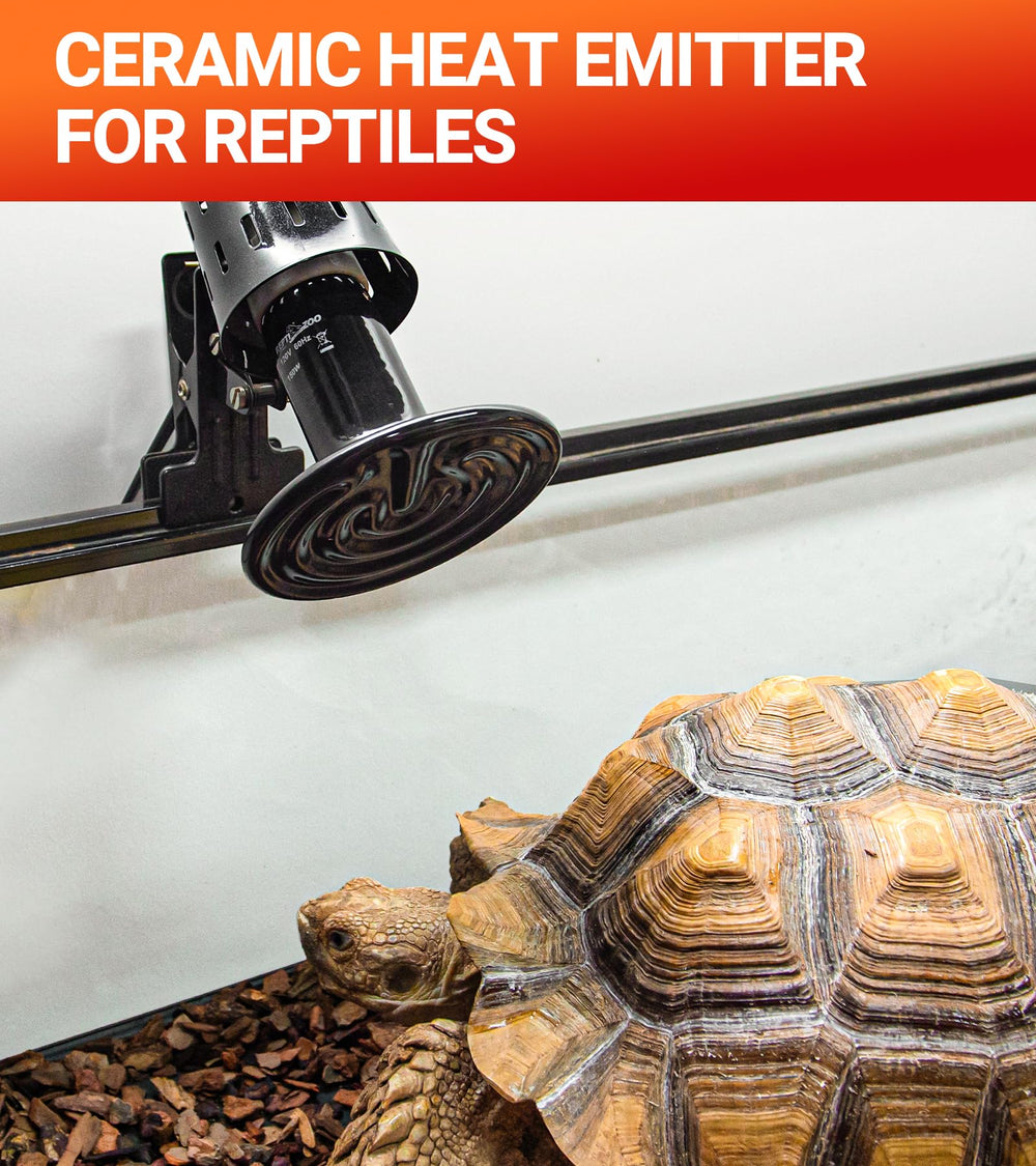 Two-pack night heat lamps for reliable nocturnal warmth in reptile enclosures.