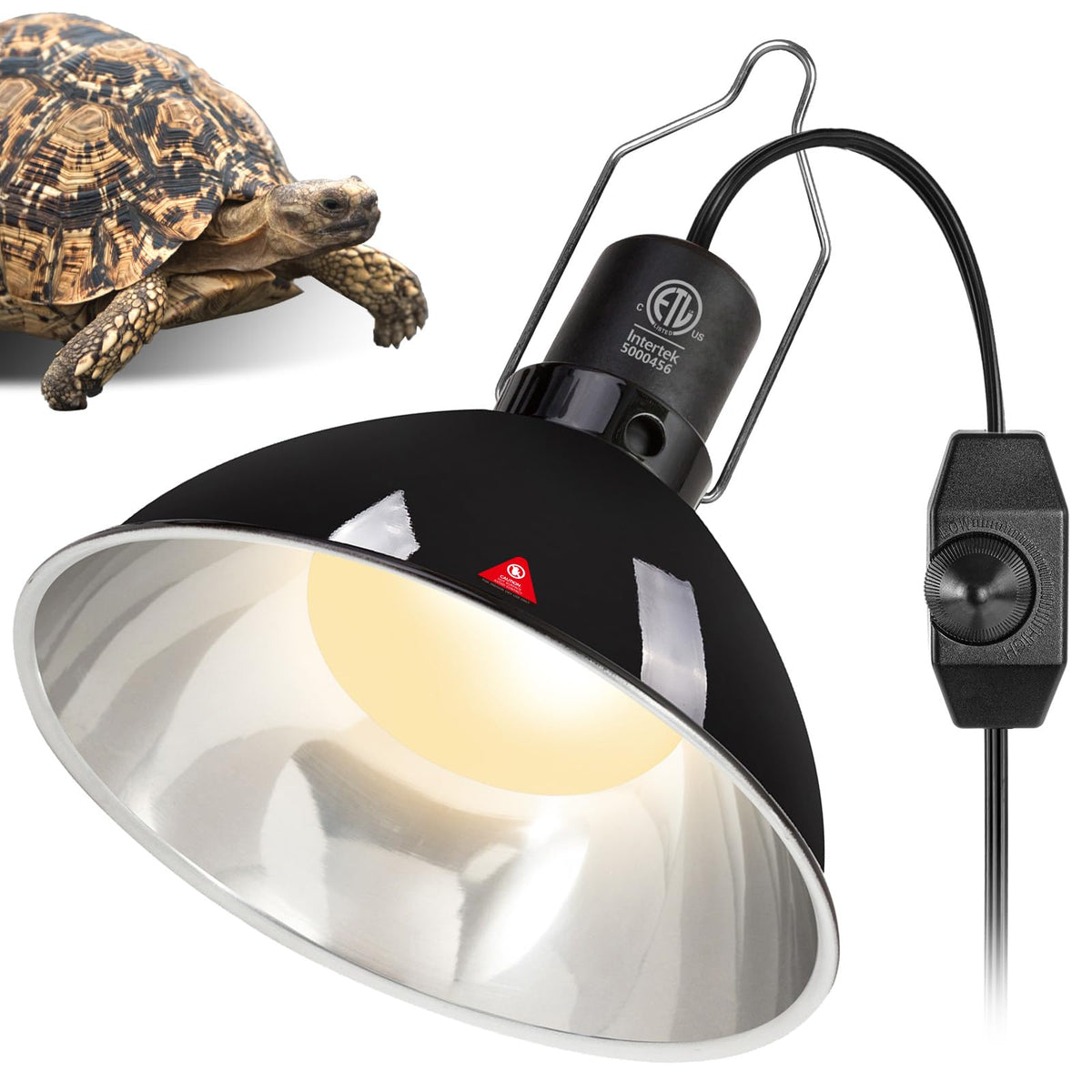 REPTI ZOO upgrade dimmable deep dome lamp over terrarium for adjustable heat.