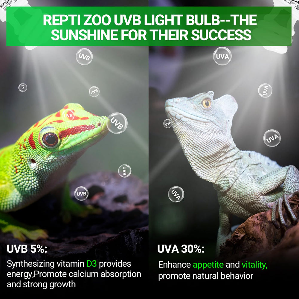 REPTI ZOO UVB light 5.0 15W bulb illuminates terrarium for geckos.
