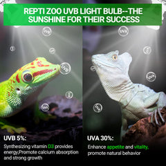 REPTI ZOO UVB light 5.0 15W bulb illuminates terrarium for geckos.