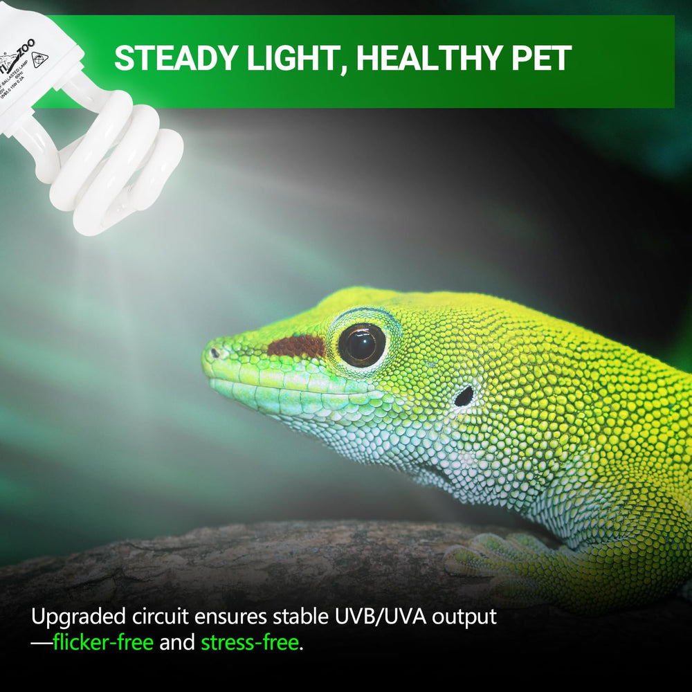 REPTI ZOO UVB light 5.0 15W tropical setup creates vibrant terrarium lighting.