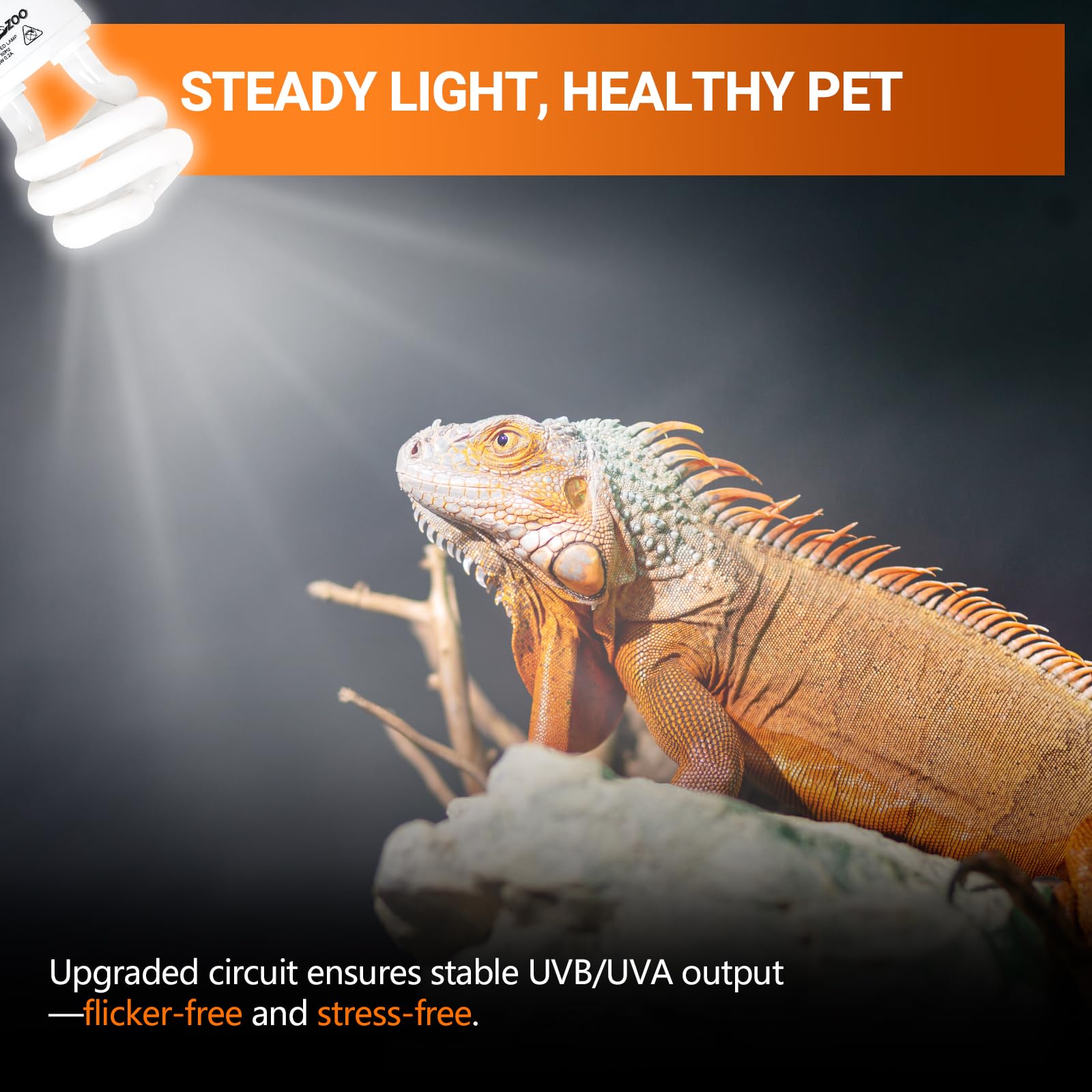 REPTI ZOO UVB light in a basking scene with reptiles under even glow.