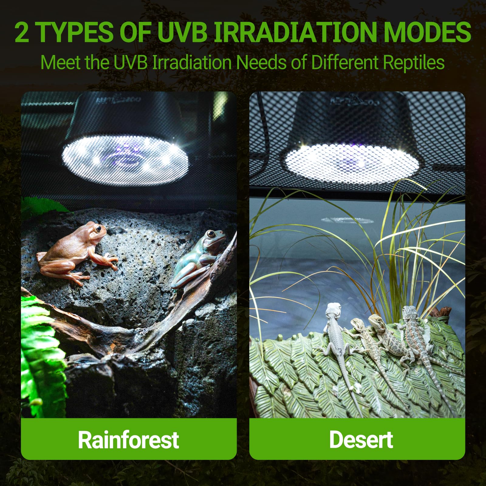 REPTI ZOO UVB light brightness control illustrating dimmable settings for day-night