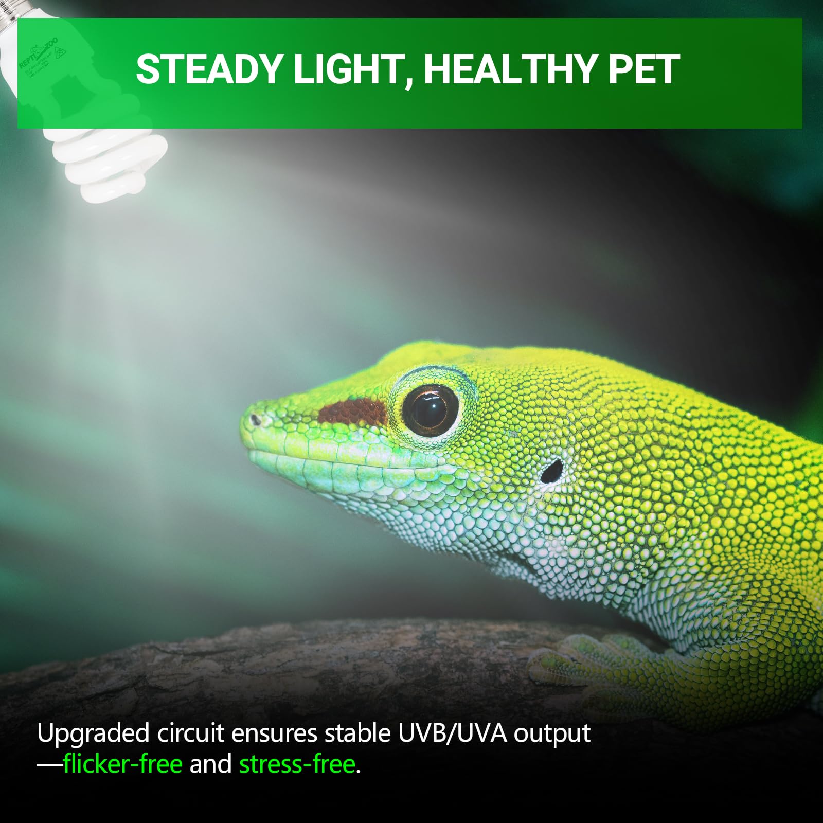 REPTI ZOO easy-installation bulb fits standard E26 fixtures for quick setup