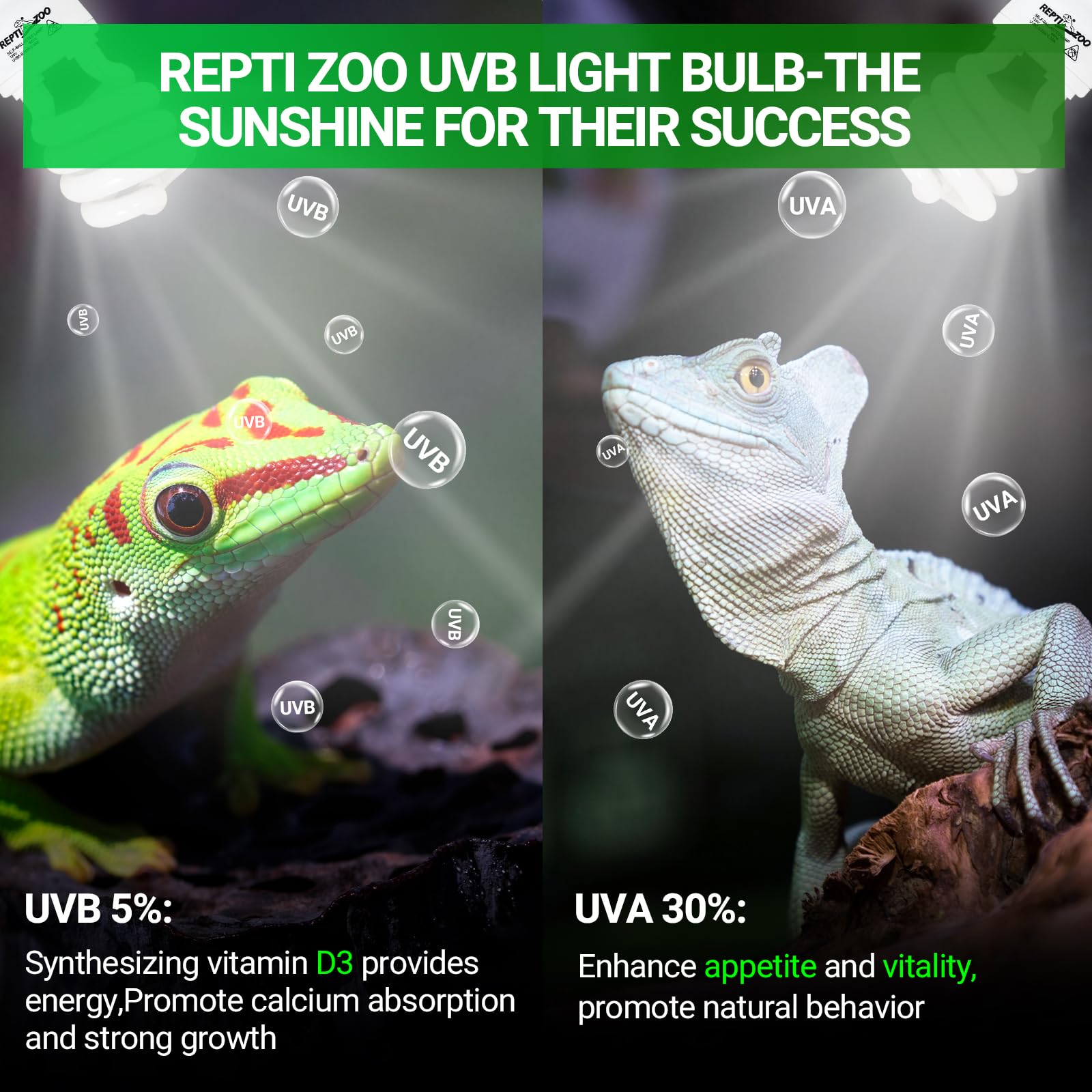 REPTI ZOO UVB light with steady output for reliable basking and color