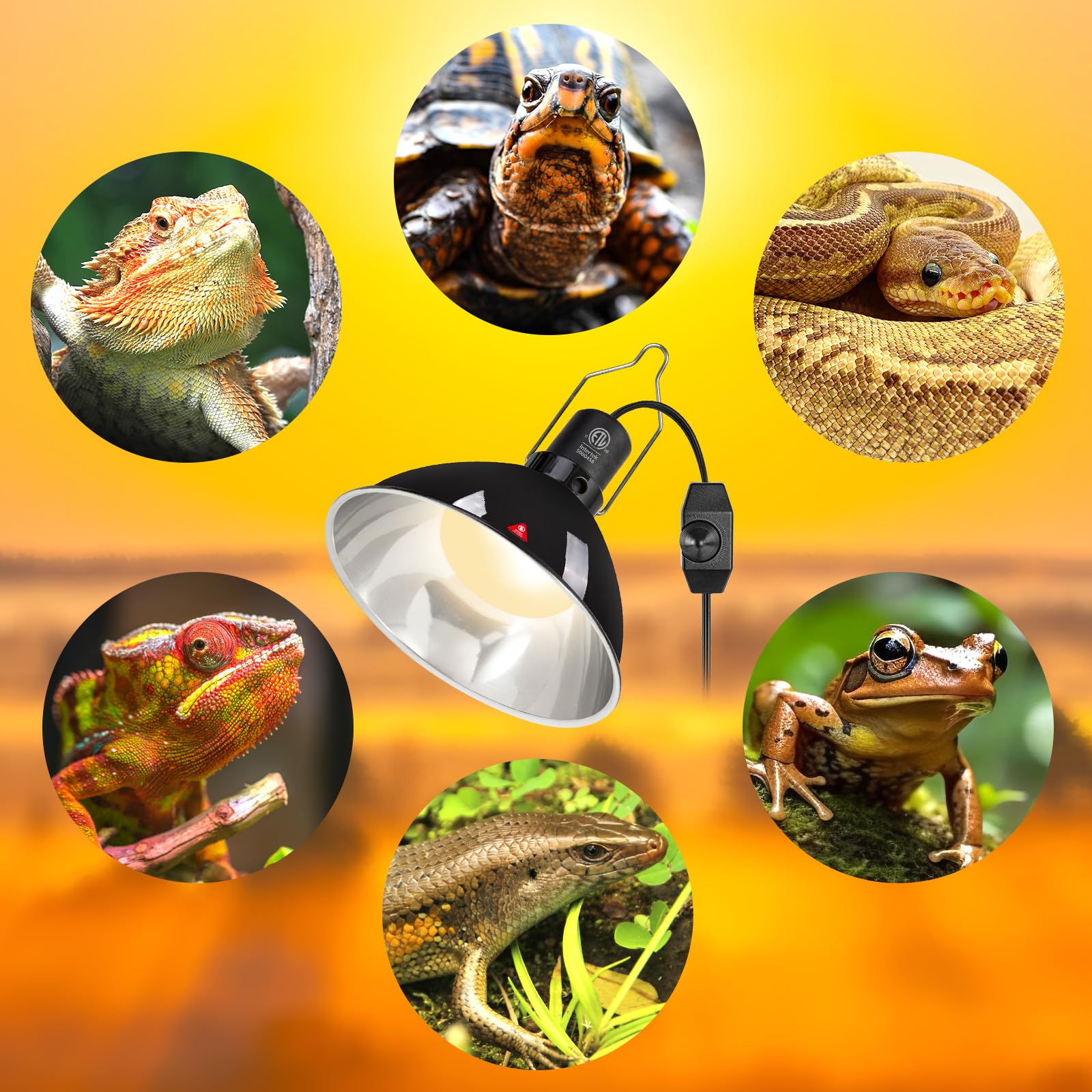 REPTI ZOO UVB/UVA output is enhanced by the efficient reflector.