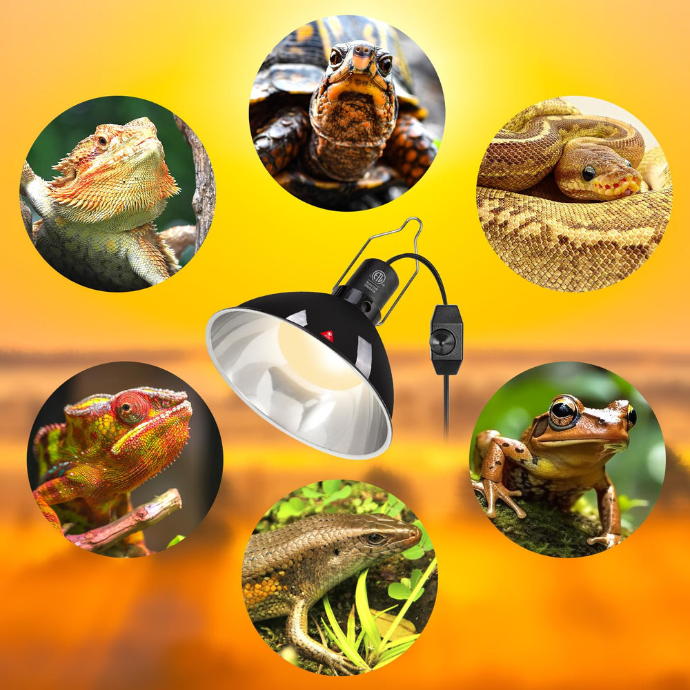 REPTI ZOO UVB/UVA output is enhanced by the efficient reflector.