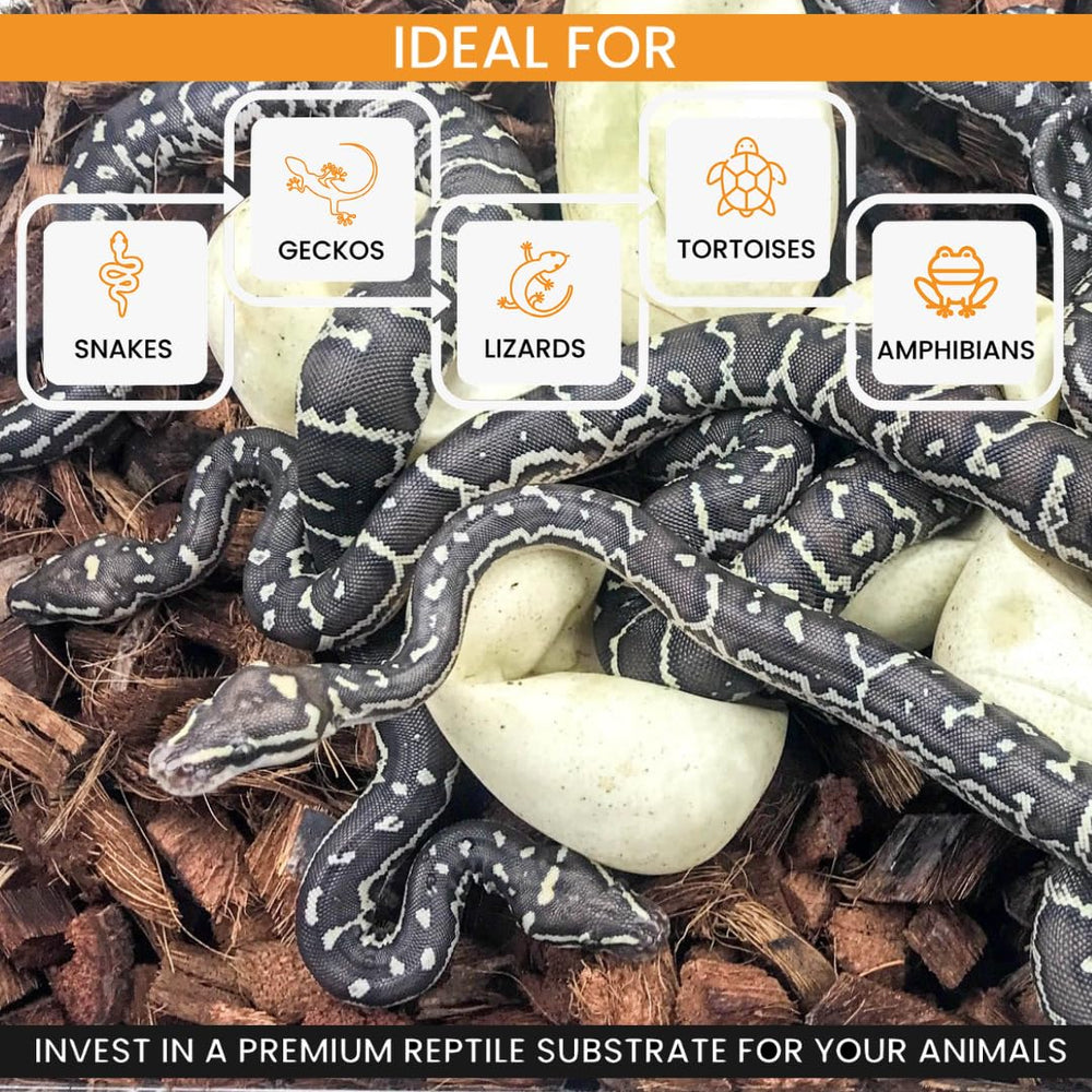 ReptiChip gecko and turtle bedding suitable for multi-species enclosures.