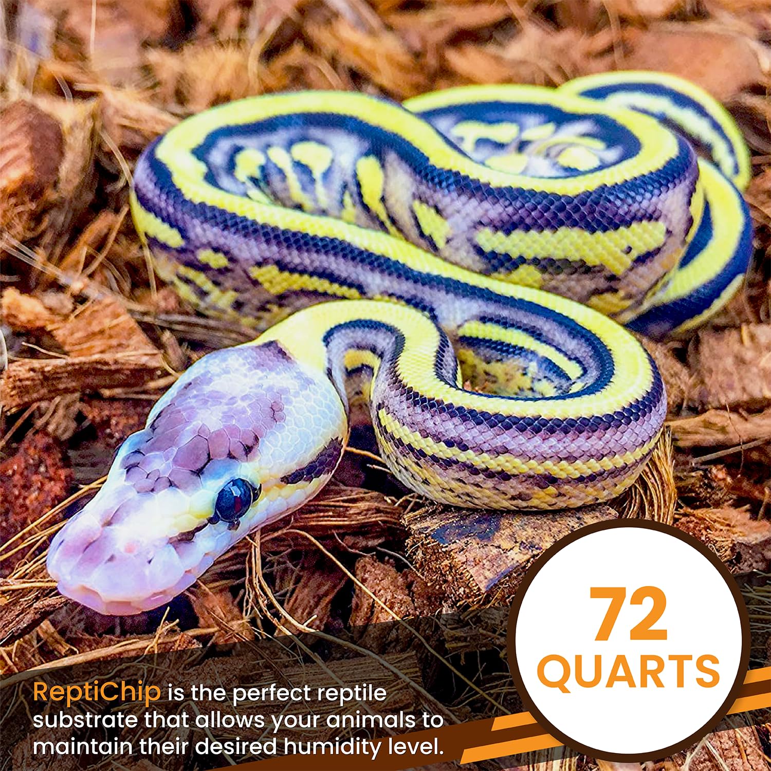 ReptiChip substrate shown as dust-free bedding for reptiles.