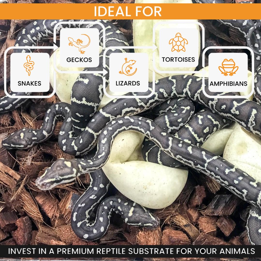 Eco-friendly ReptiChip packaging supports sustainable reptile care