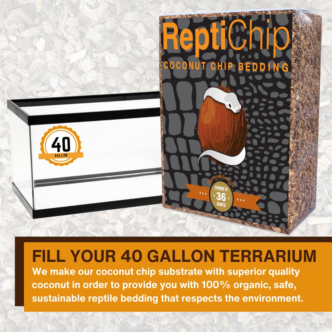 ReptiChip expands with water for humidity-loving species