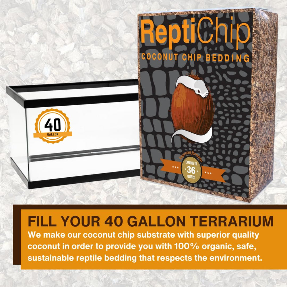 ReptiChip expands with water for humidity-loving species