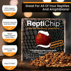 Expanded ReptiChip substrate hydrated brick in terrarium setup.