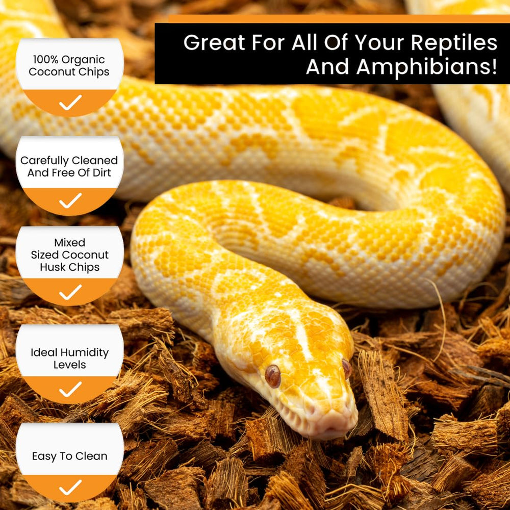 Moistened ReptiChip increases tropical humidity.