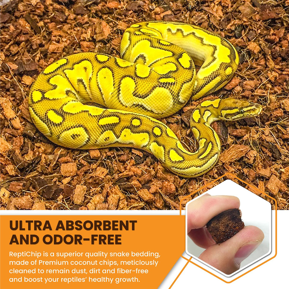 ReptiChip coconut substrate bedding highlighting odor-absorption in enclosure.