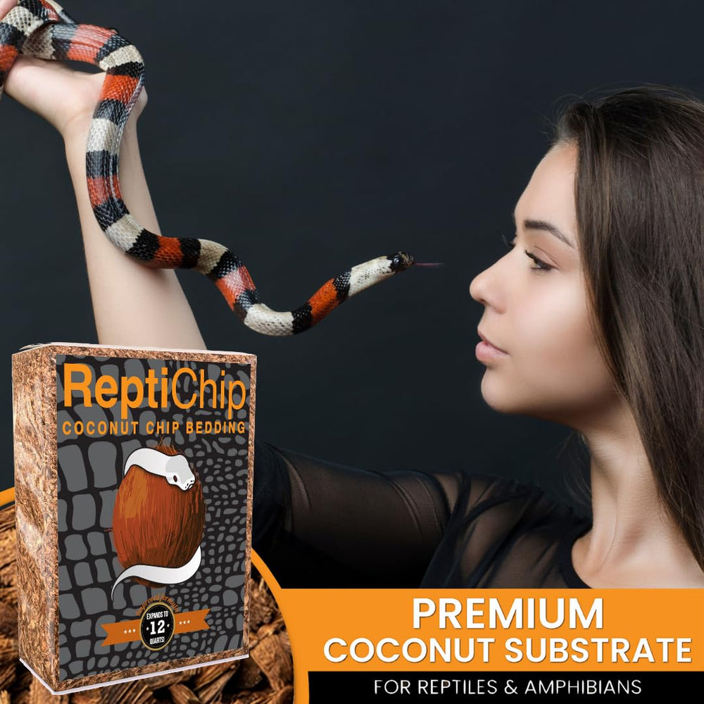Odor-absorbing ReptiChip bedding maintains a pleasant terrarium environment.