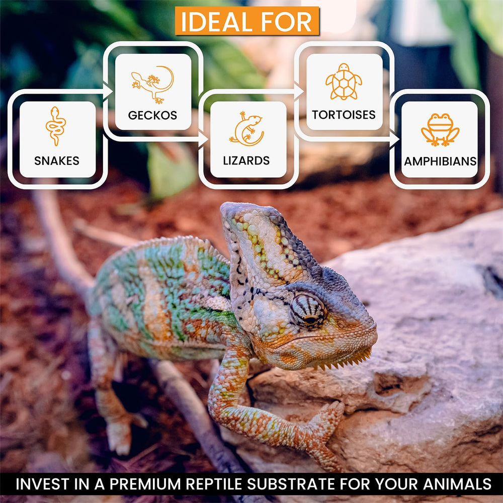 ReptiChip substrate maintaining terrarium humidity for tropical conditions.