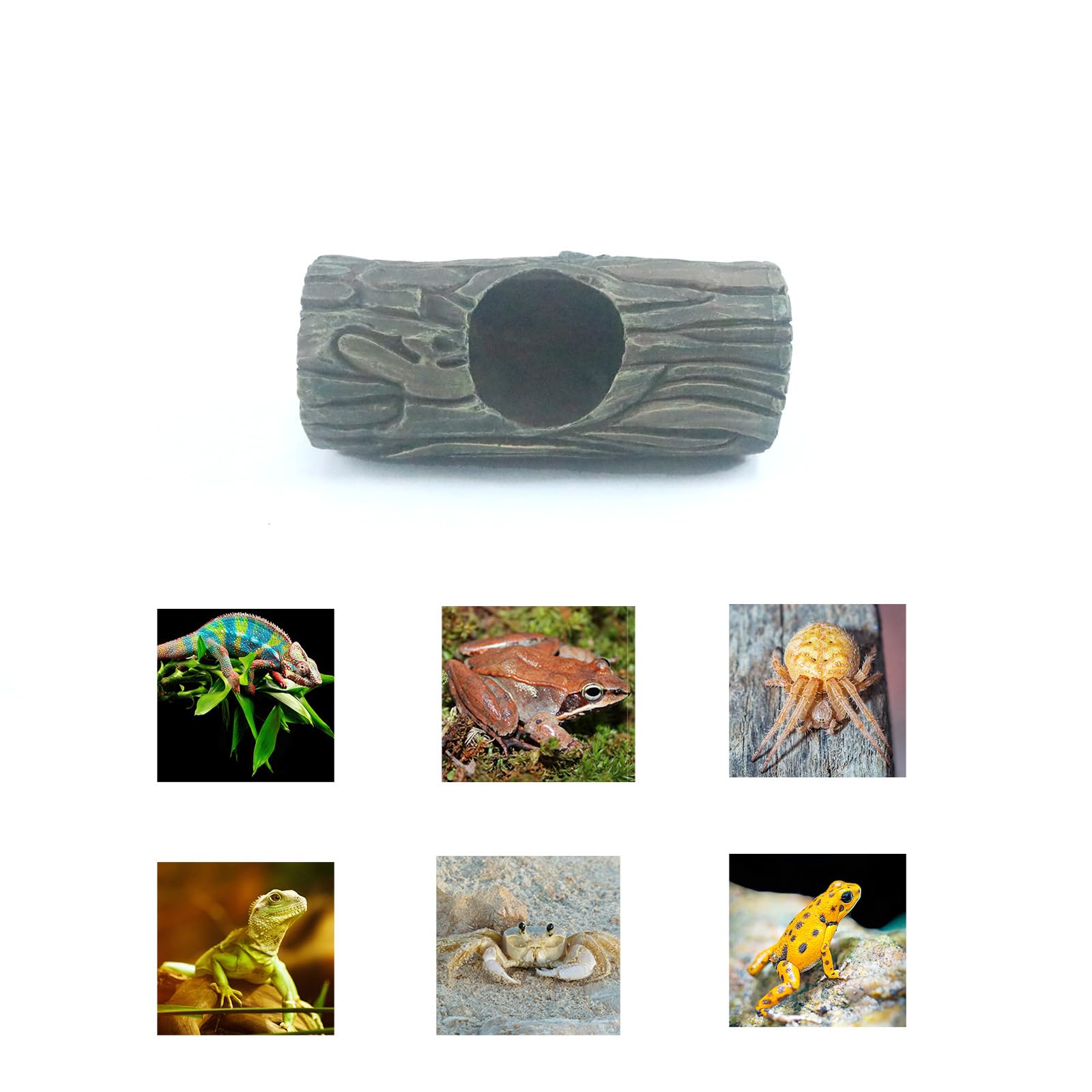 Repticircle Ball Python Hide Enclosure offers secure, non-toxic retreat in tanks
