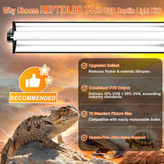 REPTIDLDB 34-inch linear UVB lamp provides uniform light across tropical terrariums