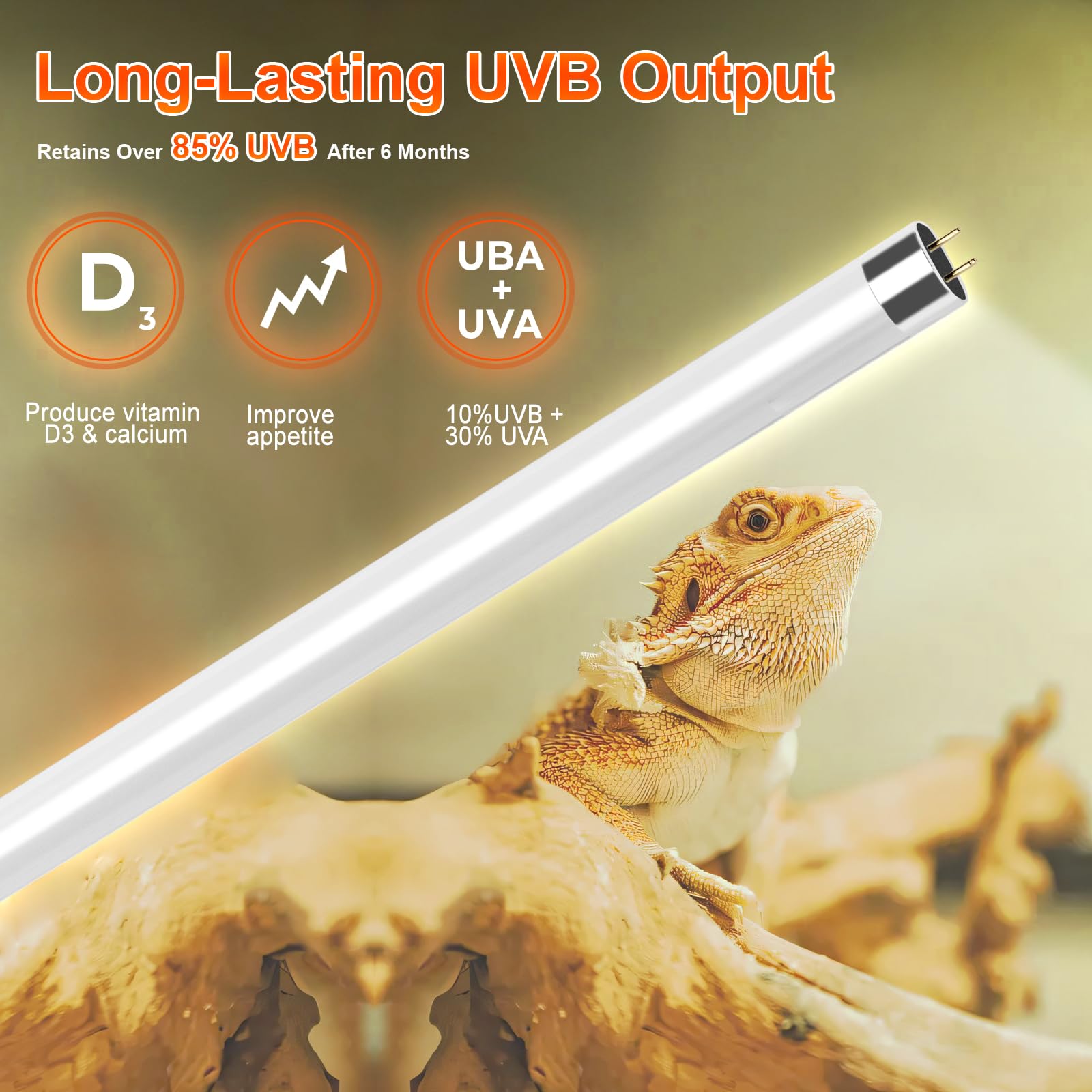REPTIDLDB UVB 10.0 bulb kit delivers essential spectrum for daytime reptile habitats