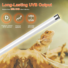 REPTIDLDB UVB 10.0 bulb kit delivers essential spectrum for daytime reptile habitats