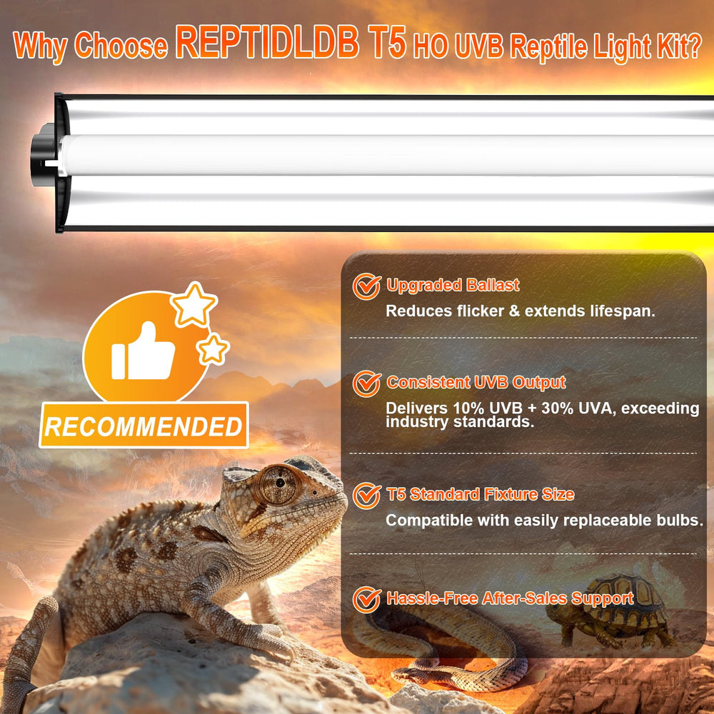 REPTIDLDB UVB 10.0 bulb closeup shows efficient UVB output.