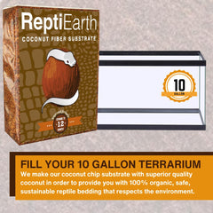 ReptiEarth bioactive terrarium setup with plants and reptiles.