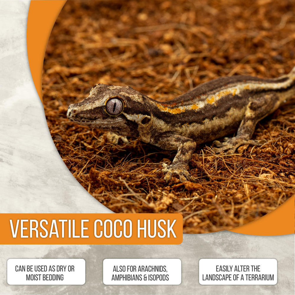 ReptiEarth bioactive terrarium substrate helps maintain a tidy, plant-friendly habitat.