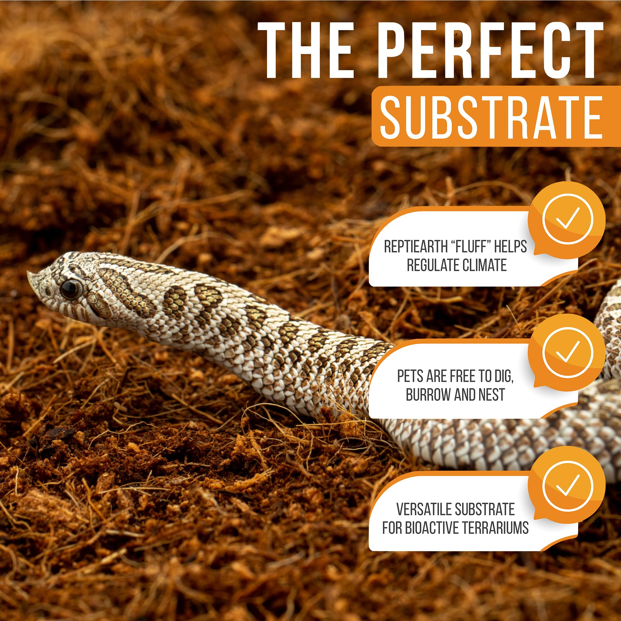 ReptiEarth moistened substrate ideal for tropical species and higher humidity.