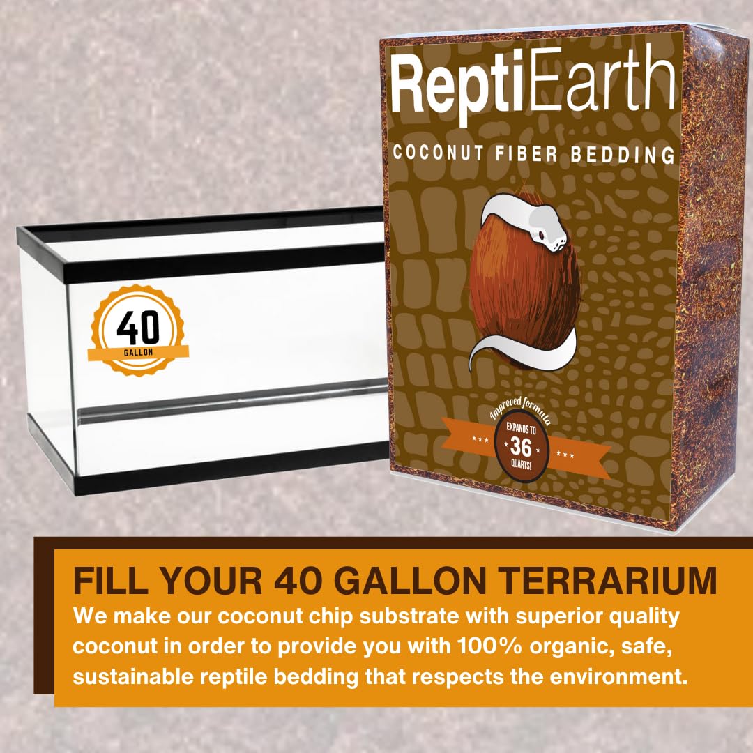 ReptiEarth organic coconut husk substrate promotes tidy, natural terrarium floors.