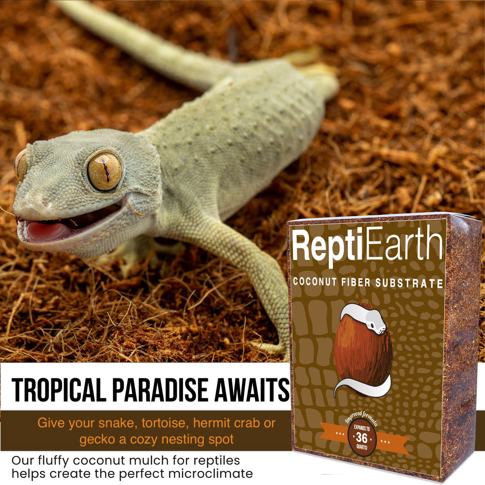 ReptiEarth ready-to-use substrate pictured straight from the bag.