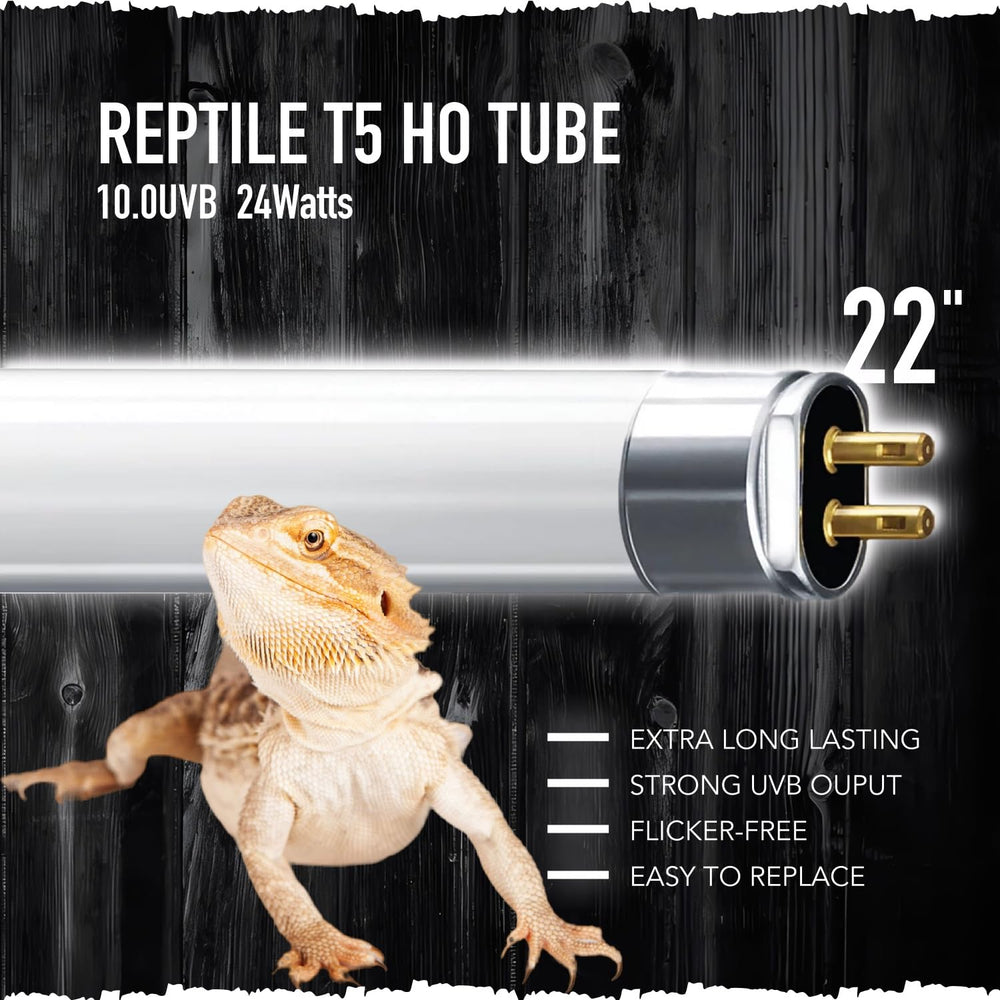 ReptiKing Bearded dragon basking setup with 22-inch UVB tube for warmth.