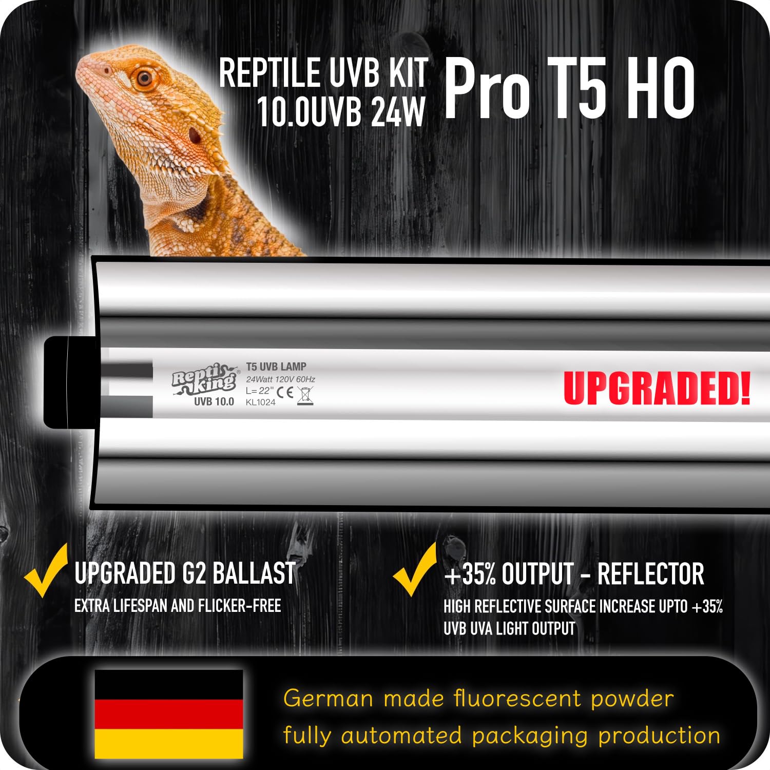 ReptiKing Bearded Dragon UVB basking area with 10.0 UVB.