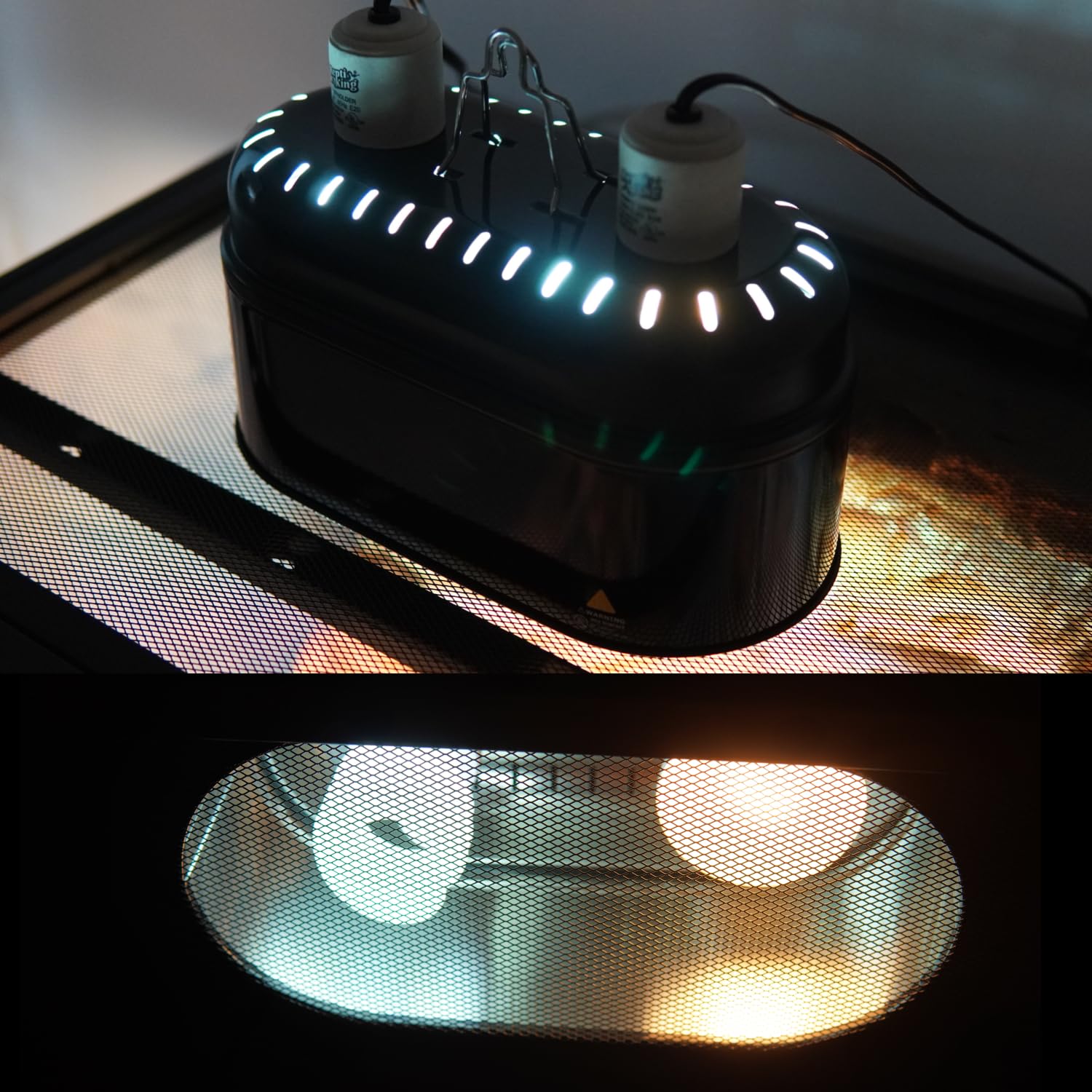 ReptiKing dome compatible with daylight, UVB, and mercury vapor bulbs