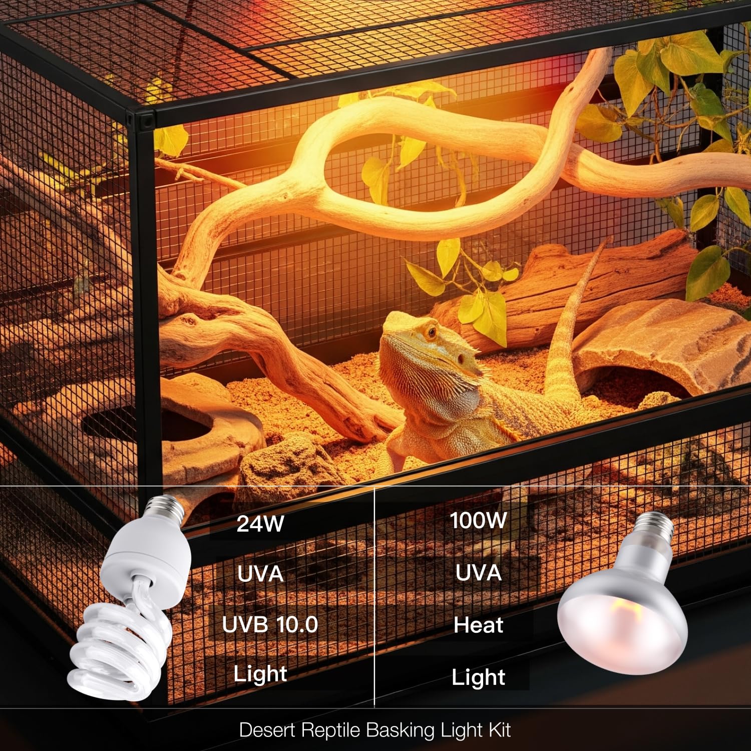 ReptiKing e26-base-setup shows easy installation for reptile fixtures.